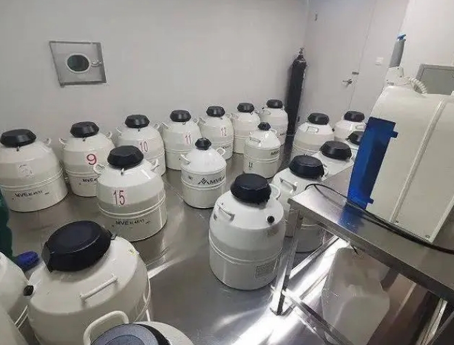 液氮储存