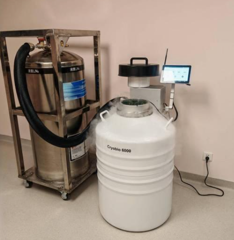 小型气相液氮罐